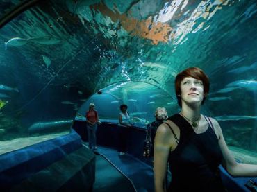 National Aquarium
